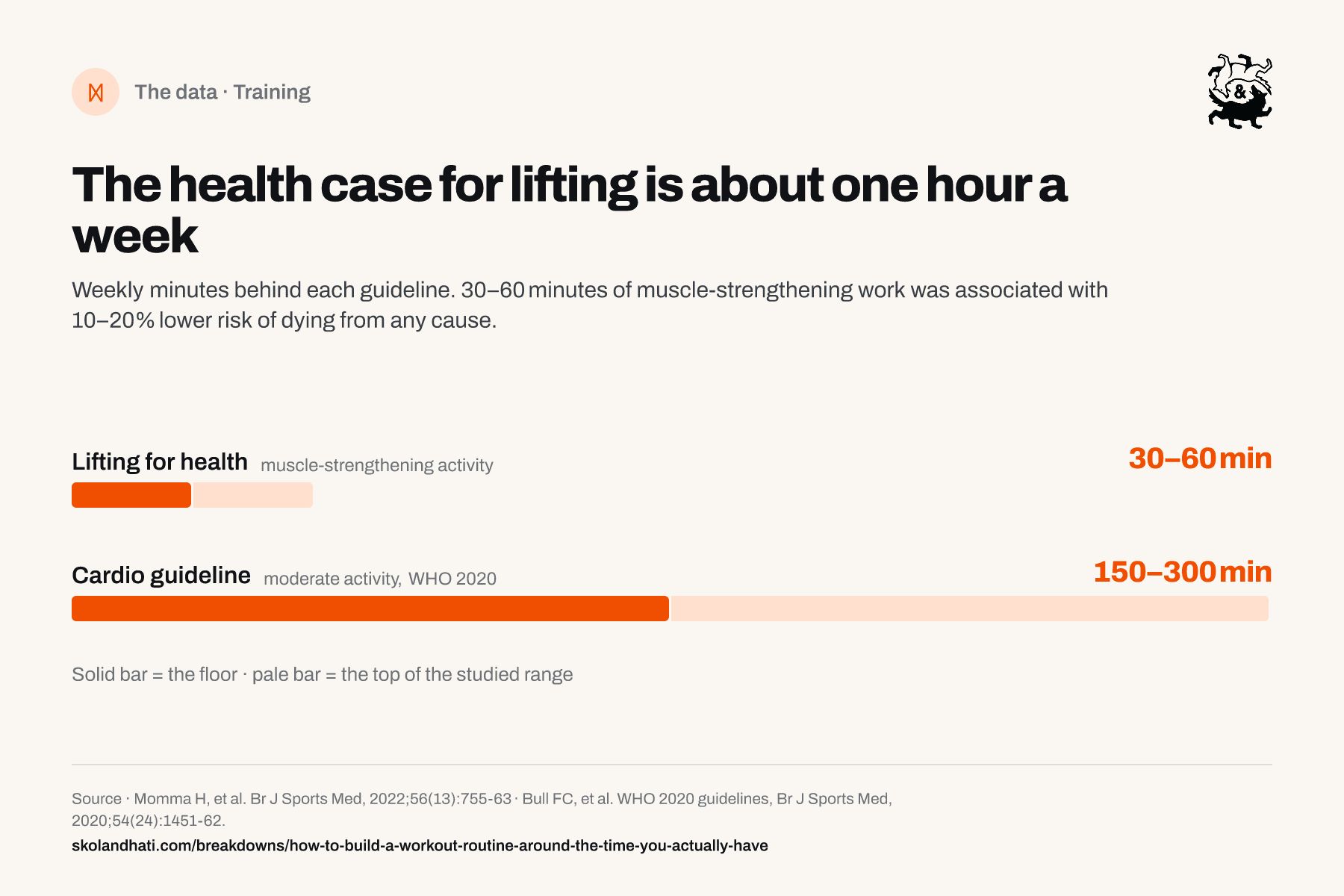 Range chart of weekly health floors in minutes: muscle-strengthening work 30 to 60 minutes, the WHO moderate-cardio guideline 150 to 300 minutes