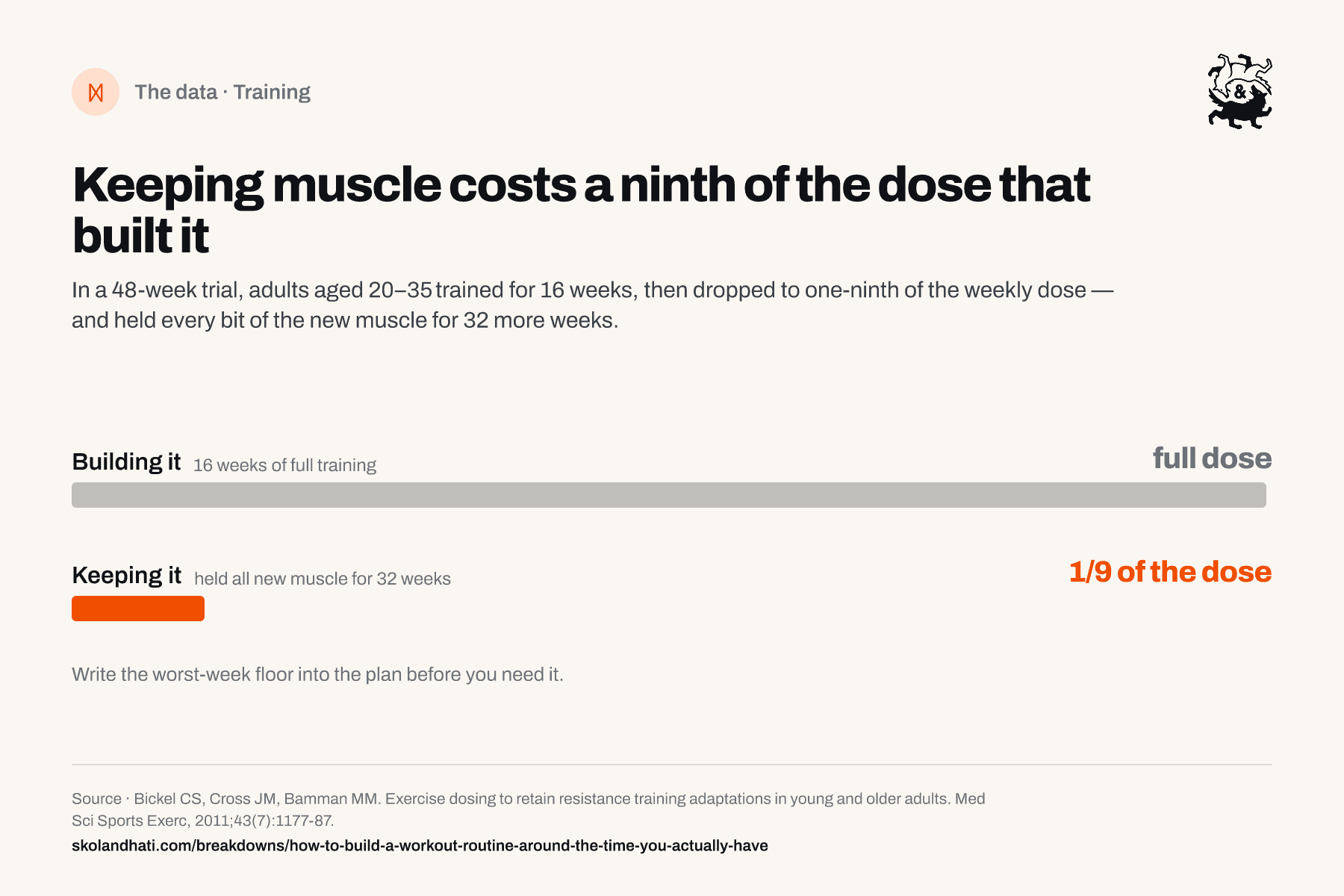 Bar chart comparing training doses: 16 weeks of full training to build muscle versus one-ninth of that weekly dose, which held all new muscle for 32 weeks in adults aged 20 to 35