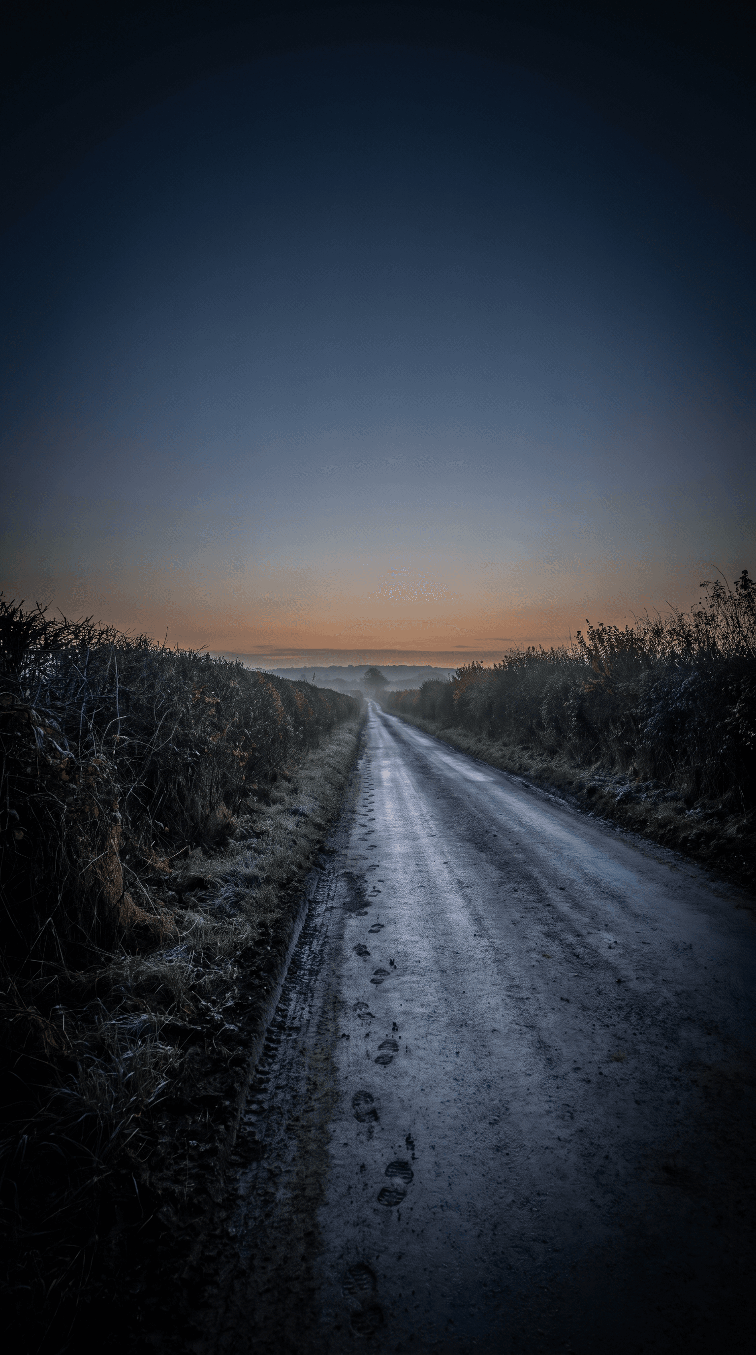 A country lane at dawn, hedgerows on both sides, the sky just lightening