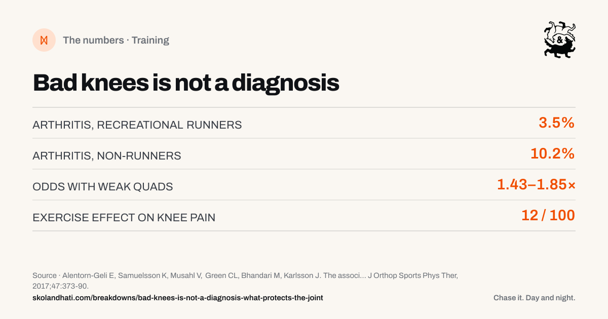 The numbers — Bad knees is not a diagnosis. ARTHRITIS, RECREATIONAL RUNNERS: 3.5%. ARTHRITIS, NON-RUNNERS: 10.2%. ODDS WITH WEAK QUADS: 1.43–1.85×. EXERCISE EFFECT ON KNEE PAIN: 12 / 100. Source: Alentorn-Geli E, Samuelsson K, Musahl V, Green CL, Bhandari M, Karlsson J. The association of recreational and competitive running with hip and knee osteoarthritis: a systematic review and meta-analysis.