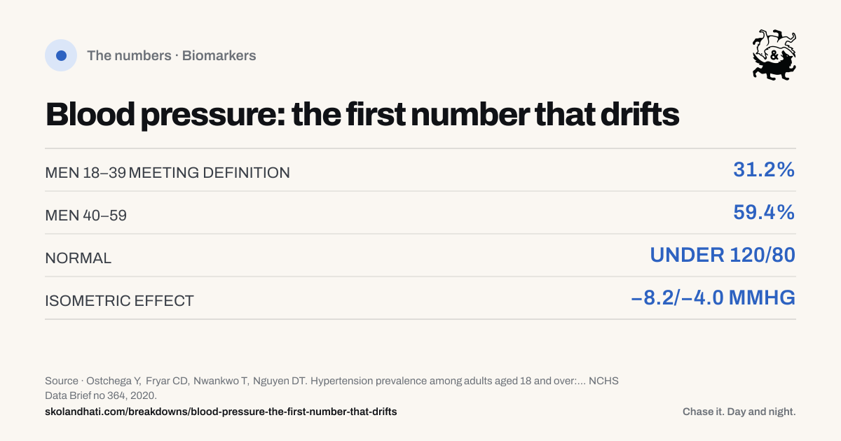 The numbers — Blood pressure: the first number that drifts. MEN 18–39 MEETING DEFINITION: 31.2%. MEN 40–59: 59.4%. NORMAL: UNDER 120/80. ISOMETRIC EFFECT: −8.2/−4.0 MMHG. Source: Ostchega Y, Fryar CD, Nwankwo T, Nguyen DT. Hypertension prevalence among adults aged 18 and over: United States, 2017–2018.