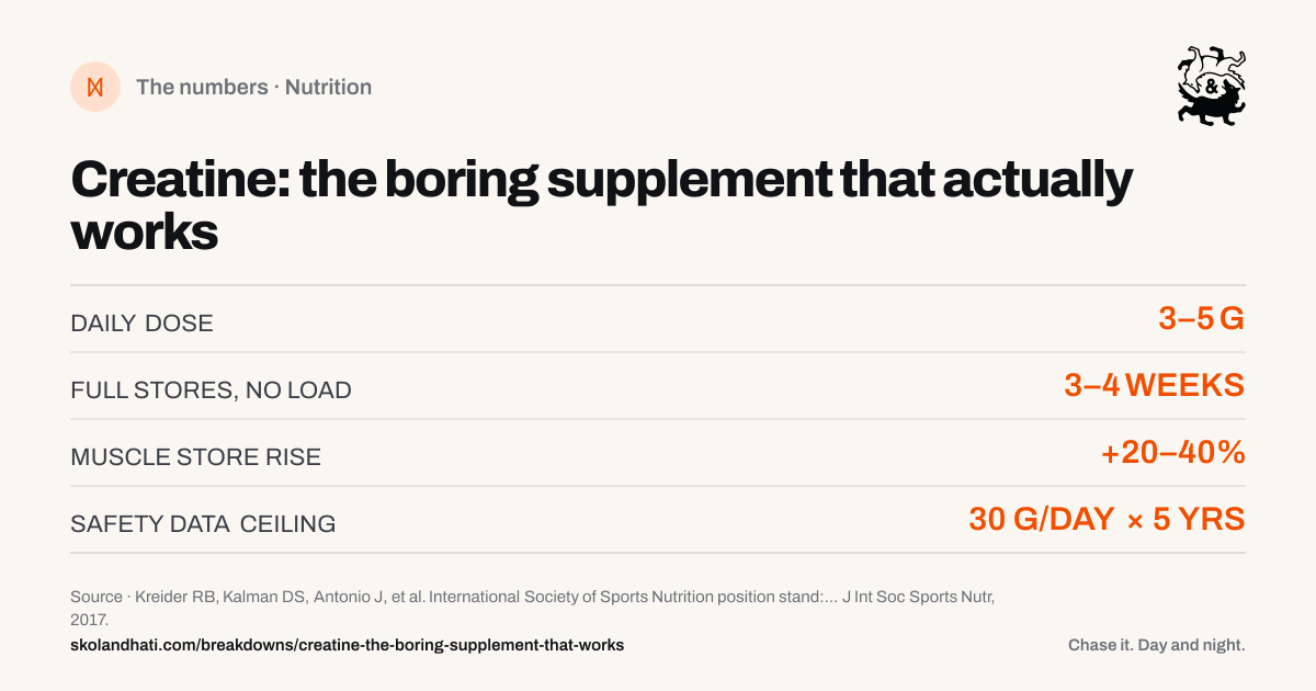 The numbers — Creatine: the boring supplement that actually works. DAILY DOSE: 3–5 G. FULL STORES, NO LOAD: 3–4 WEEKS. MUSCLE STORE RISE: +20–40%. SAFETY DATA CEILING: 30 G/DAY × 5 YRS. Source: Kreider RB, Kalman DS, Antonio J, et al. International Society of Sports Nutrition position stand: safety and efficacy of creatine supplementation in exercise, sport, and medicine.