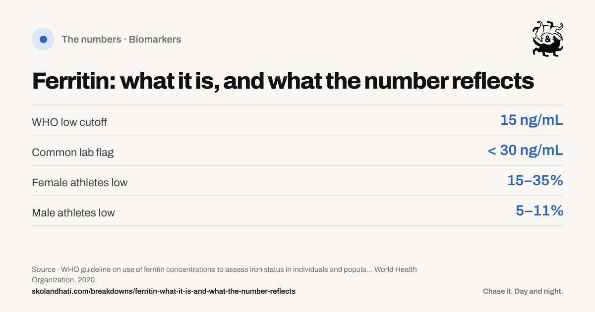 The numbers — Ferritin: what it is, and what the number reflects. WHO low cutoff: 15 ng/mL. Common lab flag: < 30 ng/mL. Female athletes low: 15–35%. Male athletes low: 5–11%. Source: WHO guideline on use of ferritin concentrations to assess iron status in individuals and populations.
