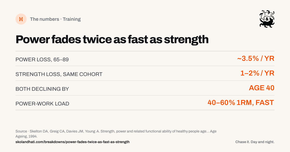 The numbers — Power fades twice as fast as strength. POWER LOSS, 65–89: ~3.5% / YR. STRENGTH LOSS, SAME COHORT: 1–2% / YR. BOTH DECLINING BY: AGE 40. POWER-WORK LOAD: 40–60% 1RM, FAST. Source: Skelton DA, Greig CA, Davies JM, Young A. Strength, power and related functional ability of healthy people aged 65-89 years.