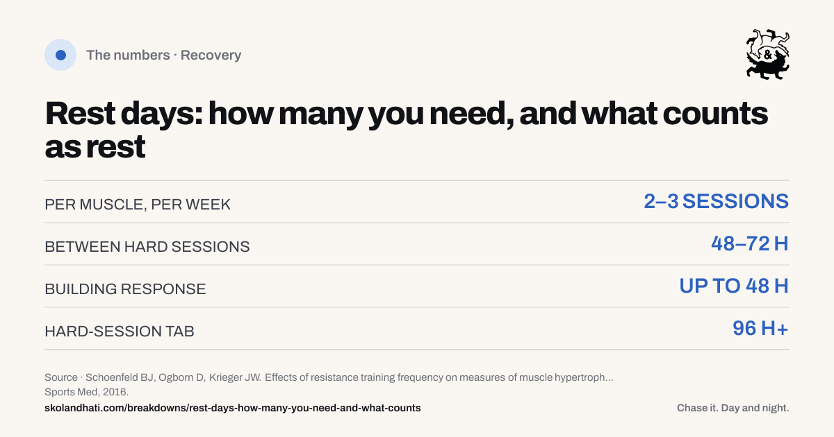 The numbers — Rest days: how many you need, and what counts as rest. PER MUSCLE, PER WEEK: 2–3 SESSIONS. BETWEEN HARD SESSIONS: 48–72 H. BUILDING RESPONSE: UP TO 48 H. HARD-SESSION TAB: 96 H+. Source: Schoenfeld BJ, Ogborn D, Krieger JW. Effects of resistance training frequency on measures of muscle hypertrophy: a systematic review and meta-analysis.