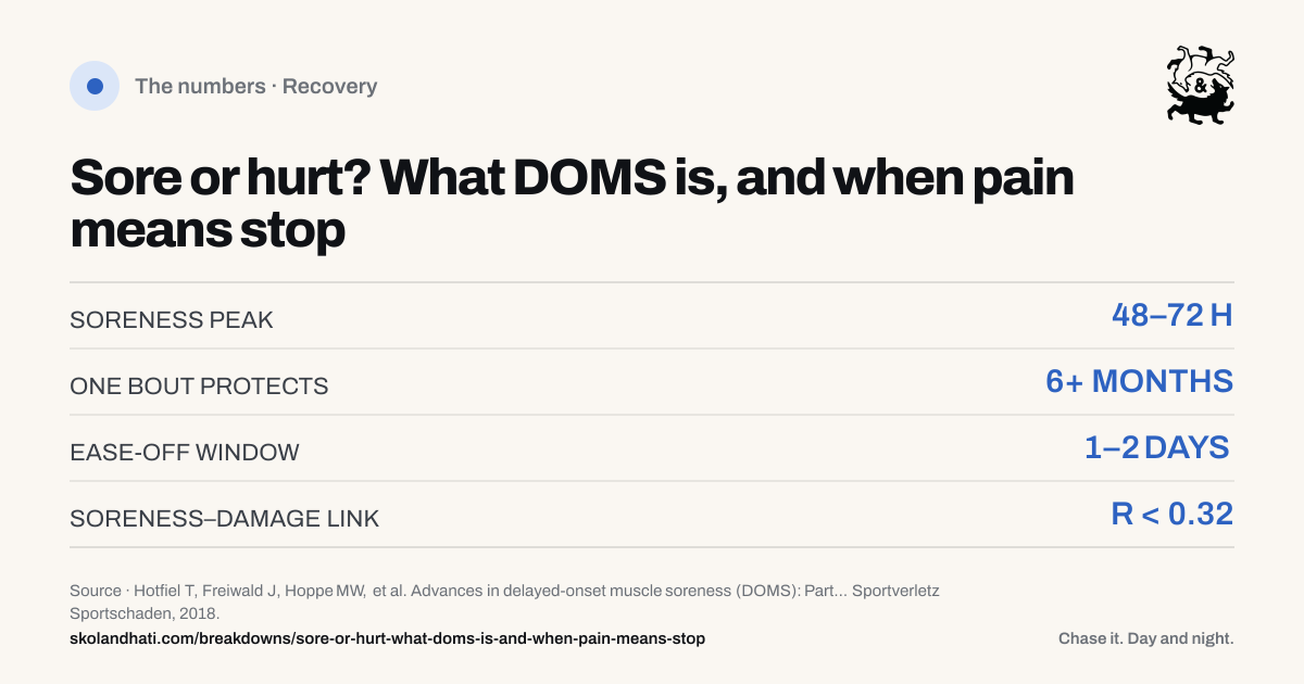 The numbers — Sore or hurt? What DOMS is, and when pain means stop. SORENESS PEAK: 48–72 H. ONE BOUT PROTECTS: 6+ MONTHS. EASE-OFF WINDOW: 1–2 DAYS. SORENESS–DAMAGE LINK: R < 0.32. Source: Hotfiel T, Freiwald J, Hoppe MW, et al. Advances in delayed-onset muscle soreness (DOMS): Part I: Pathogenesis and diagnostics.