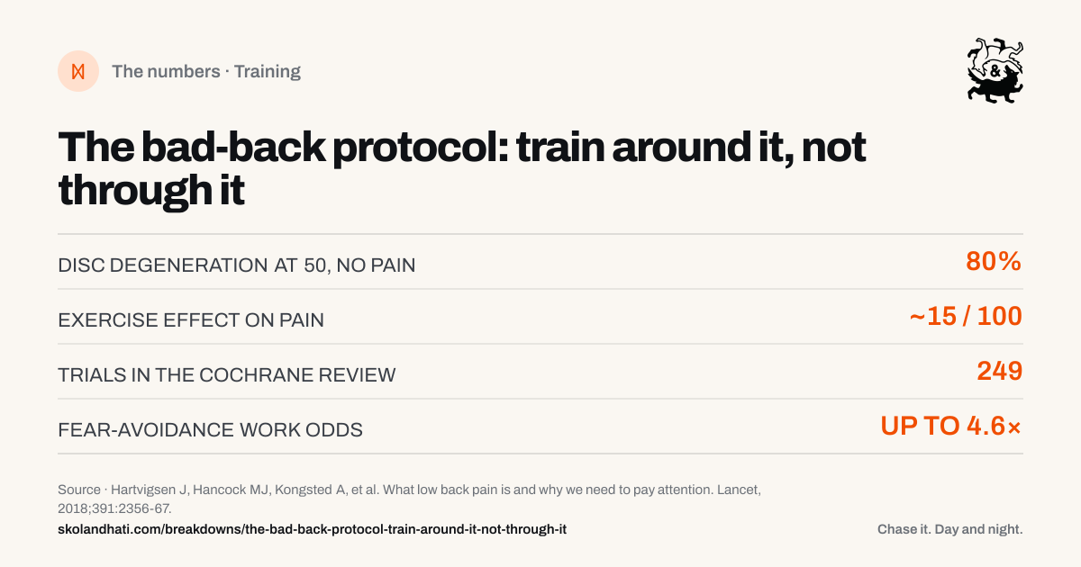 The numbers — The bad-back protocol: train around it, not through it. DISC DEGENERATION AT 50, NO PAIN: 80%. EXERCISE EFFECT ON PAIN: ~15 / 100. TRIALS IN THE COCHRANE REVIEW: 249. FEAR-AVOIDANCE WORK ODDS: UP TO 4.6×. Source: Hartvigsen J, Hancock MJ, Kongsted A, et al. What low back pain is and why we need to pay attention.