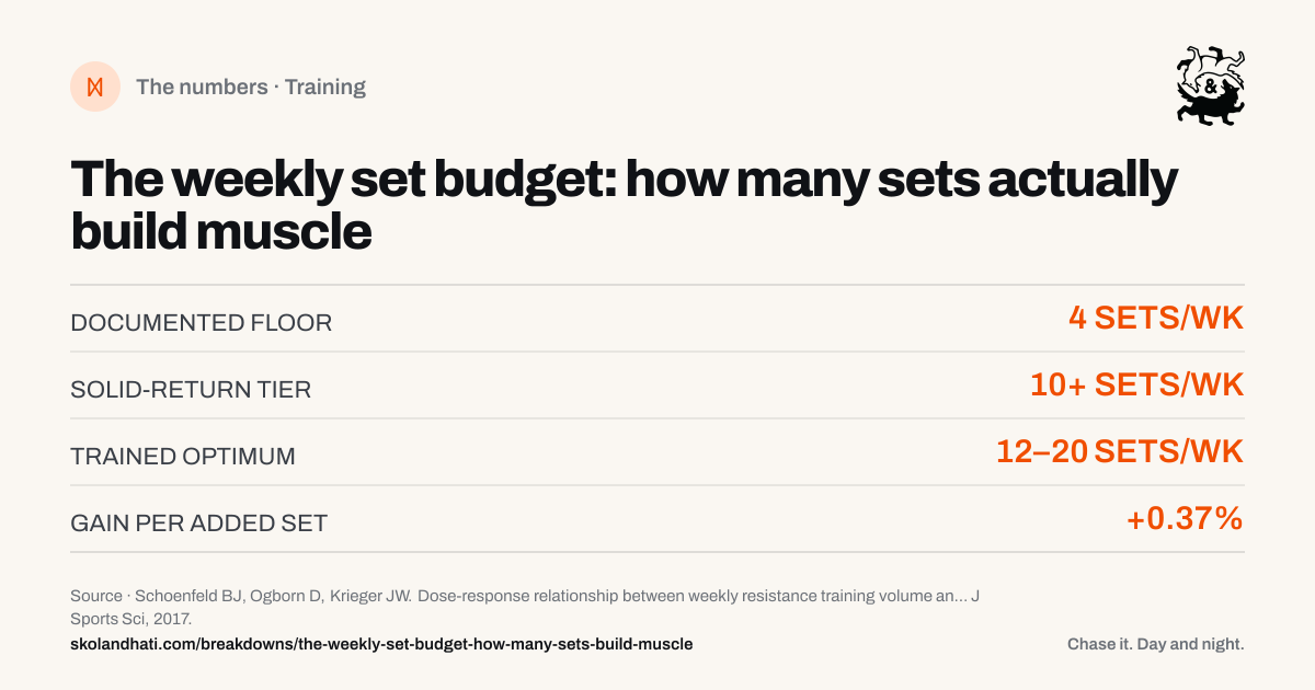 The numbers — The weekly set budget: how many sets actually build muscle. DOCUMENTED FLOOR: 4 SETS/WK. SOLID-RETURN TIER: 10+ SETS/WK. TRAINED OPTIMUM: 12–20 SETS/WK. GAIN PER ADDED SET: +0.37%. Source: Schoenfeld BJ, Ogborn D, Krieger JW. Dose-response relationship between weekly resistance training volume and increases in muscle mass: A systematic review and meta-analysis.