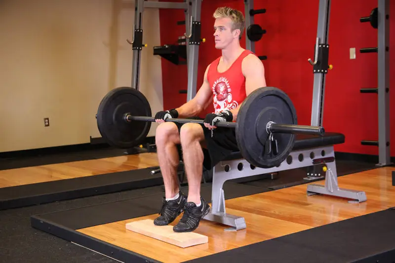 Barbell Seated Calf Raise — finish position