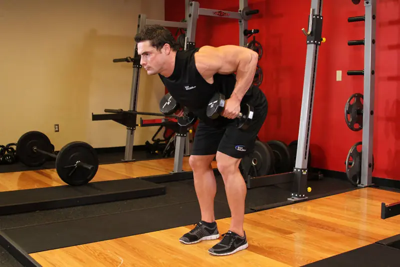 Bent Over Two-Dumbbell Row — finish position