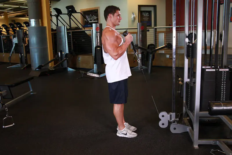 Cable Hammer Curls - Rope Attachment — finish position