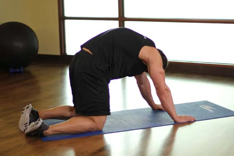 Cat Stretch — finish position