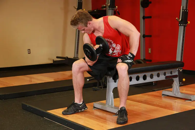 Concentration Curls — finish position