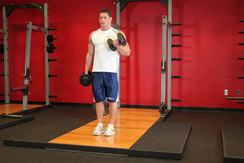Dumbbell Alternate Bicep Curl — finish position