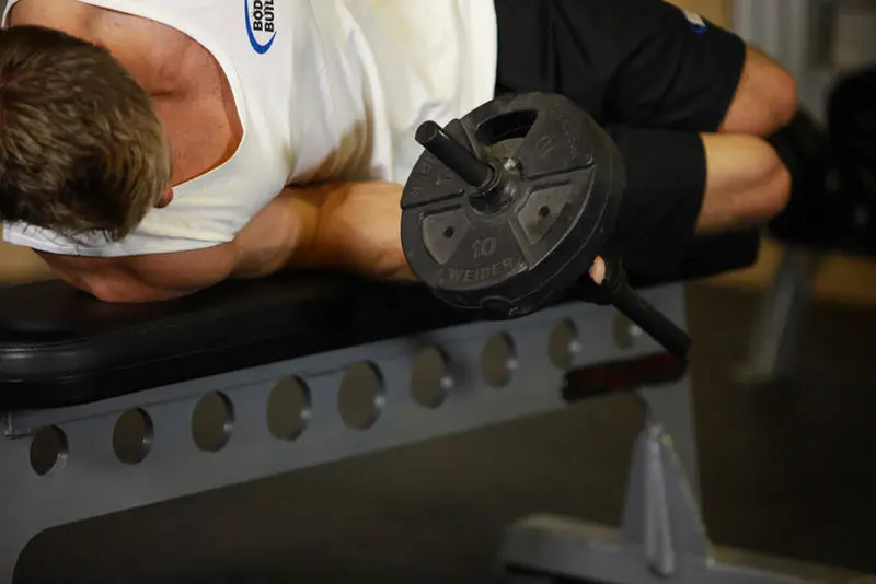 Dumbbell Lying Pronation — finish position