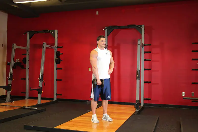 Dumbbell One-Arm Upright Row — finish position