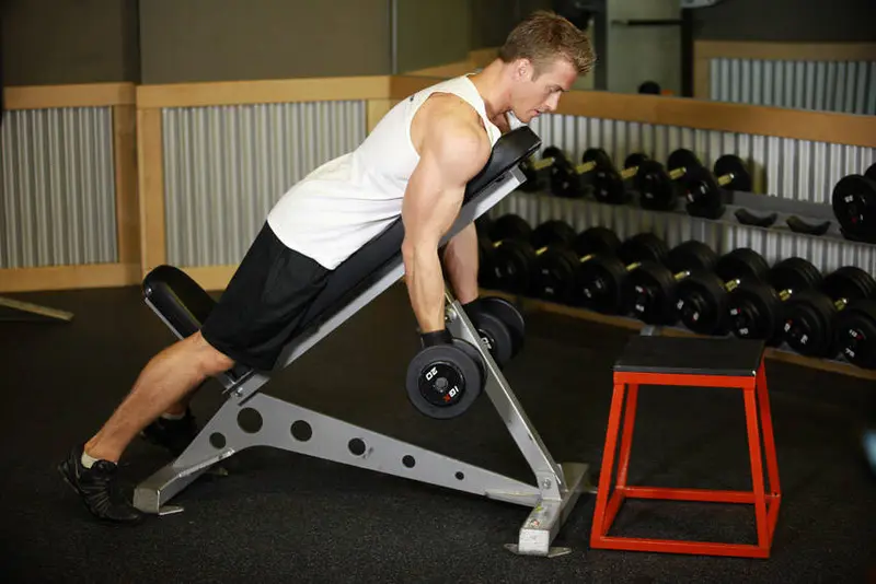 Dumbbell Prone Incline Curl — finish position