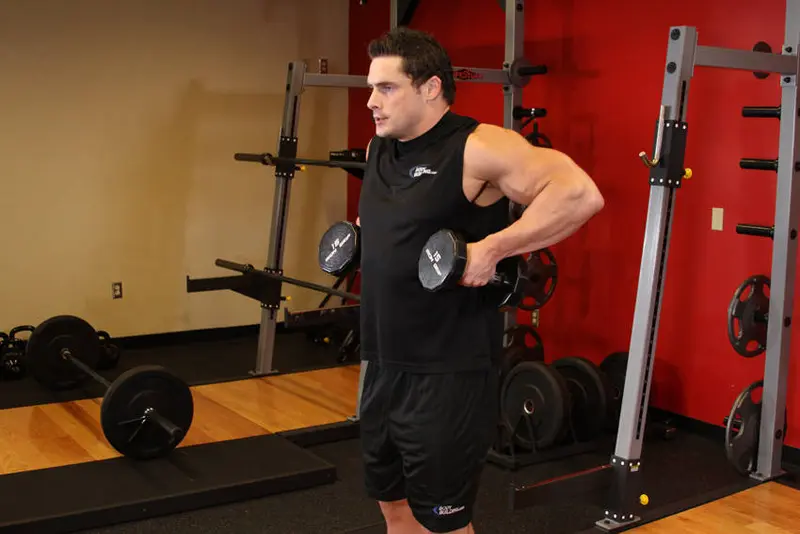 Dumbbell Raise — finish position