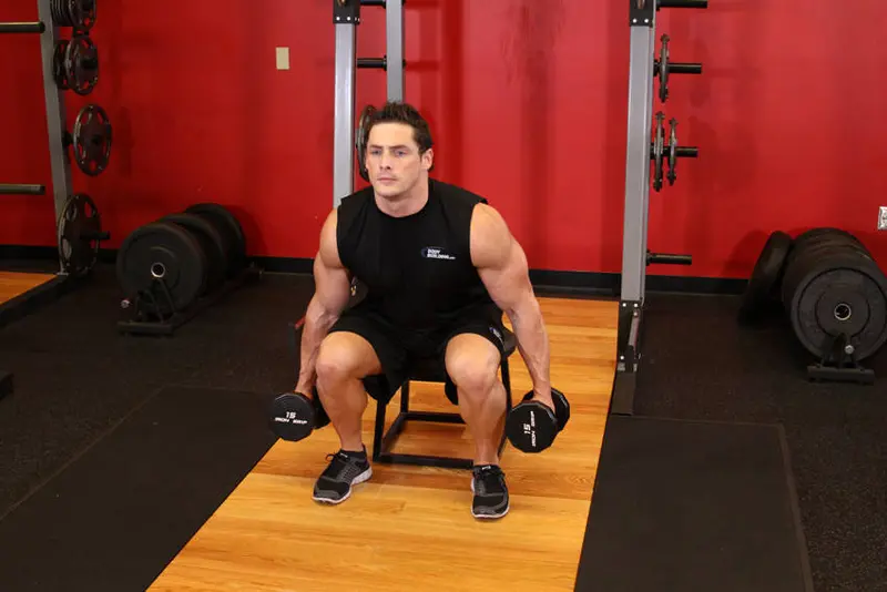 Dumbbell Squat To A Bench — finish position