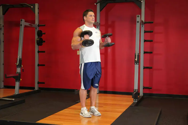 Hammer Curls — finish position