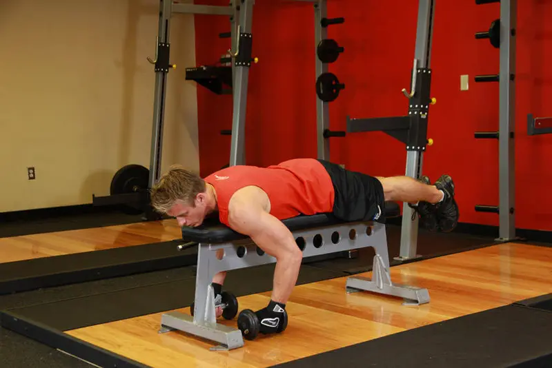 Lying Rear Delt Raise — finish position