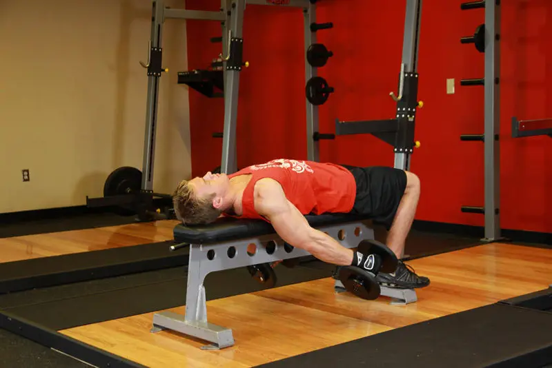Lying Supine Dumbbell Curl — finish position