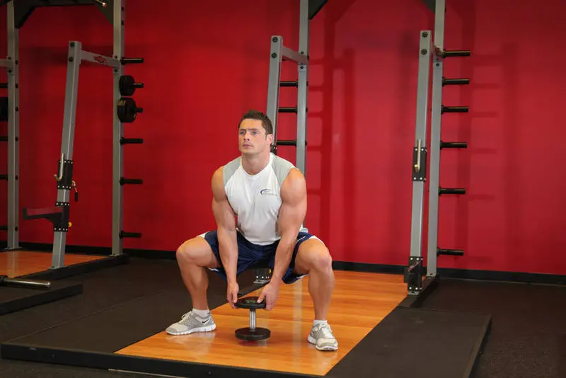Plie Dumbbell Squat — finish position