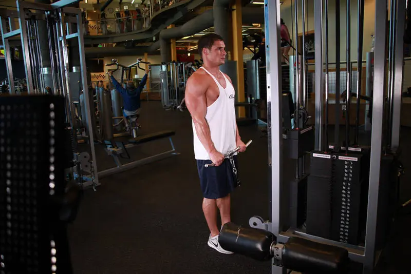 Reverse Cable Curl — finish position