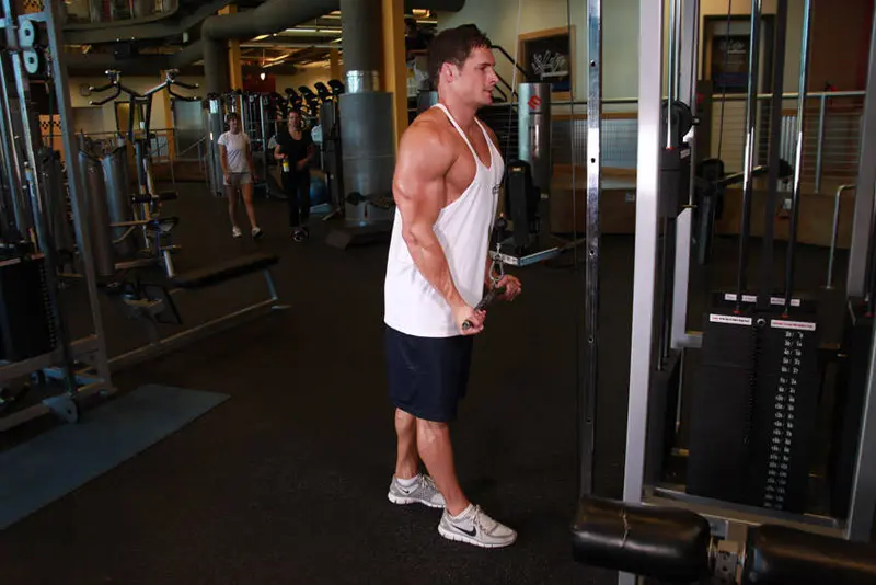 Reverse Grip Triceps Pushdown — finish position