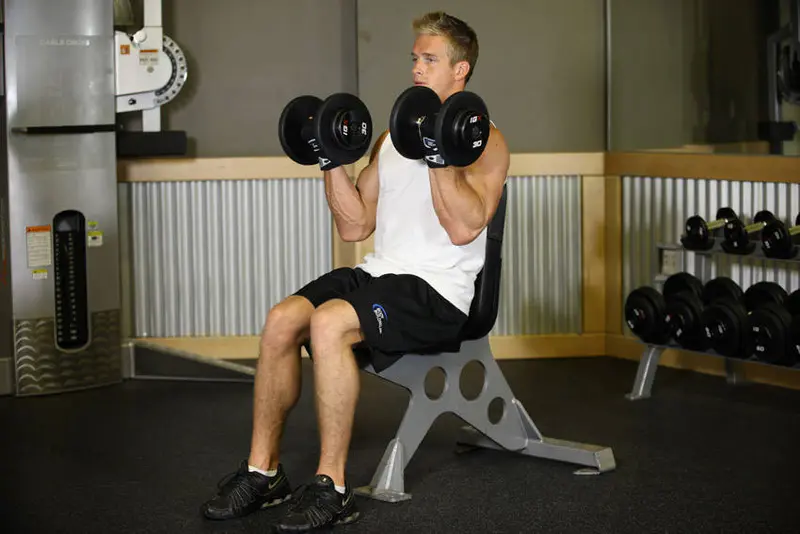 Seated Dumbbell Curl — finish position