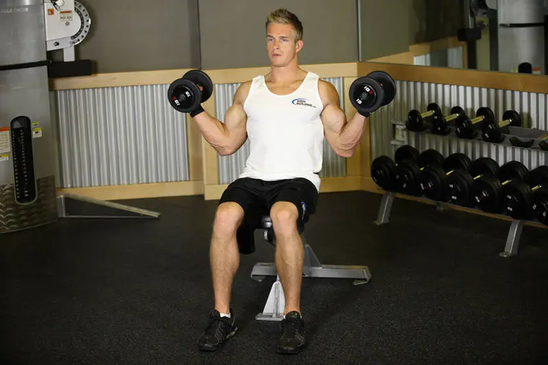 Seated Dumbbell Inner Biceps Curl — finish position