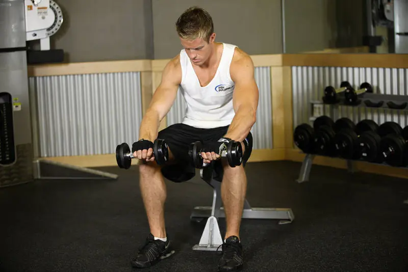 Seated Dumbbell Palms-Down Wrist Curl — finish position