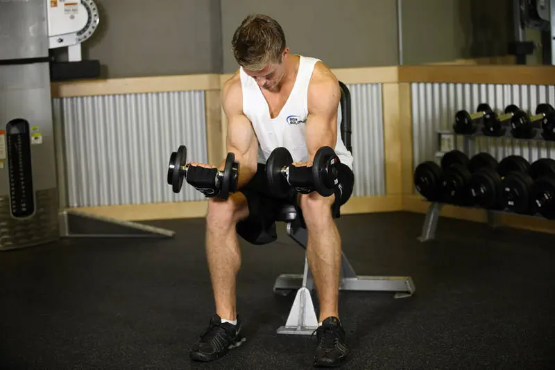 Seated Dumbbell Palms-Up Wrist Curl — finish position
