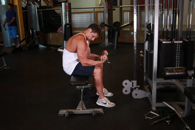 Seated Two-Arm Palms-Up Low-Pulley Wrist Curl — finish position