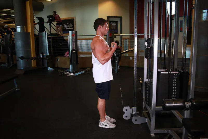 Standing Biceps Cable Curl — finish position
