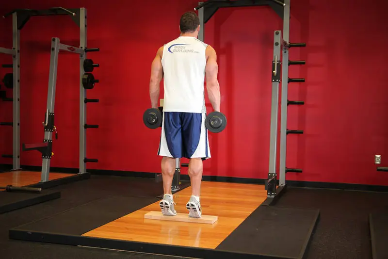 Standing Dumbbell Calf Raise — finish position