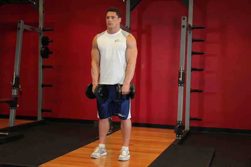 Standing Dumbbell Upright Row — finish position
