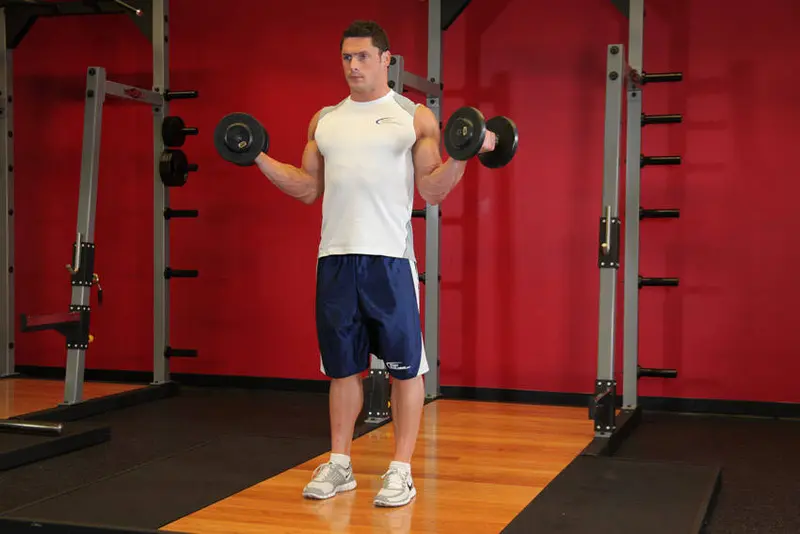 Standing Inner-Biceps Curl — finish position