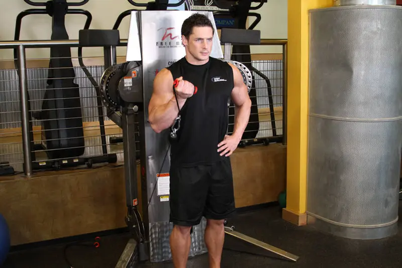 Standing One-Arm Cable Curl — finish position