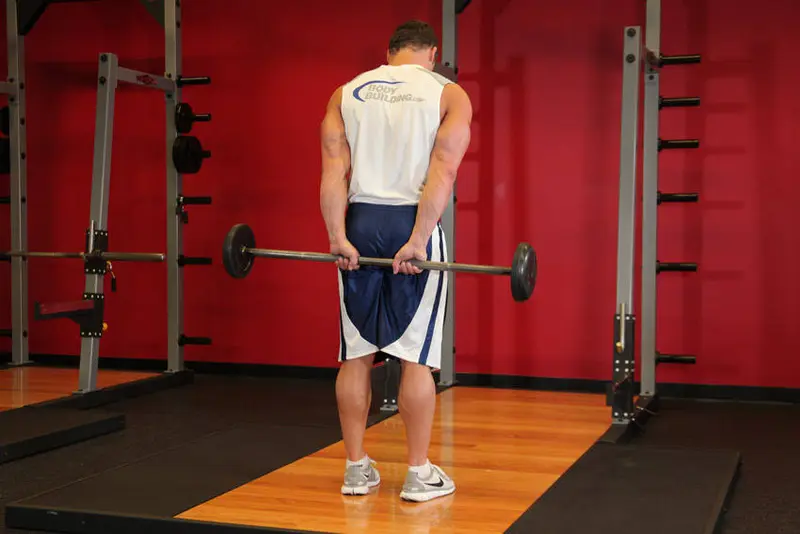 Standing Palms-Up Barbell Behind The Back Wrist Curl — finish position
