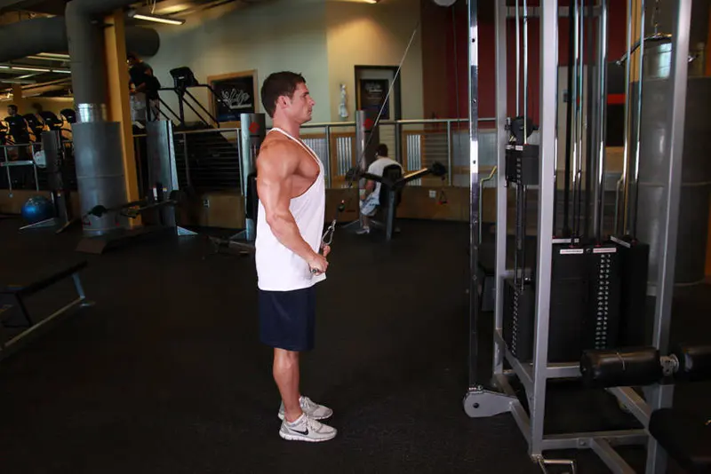 Straight-Arm Pulldown — finish position