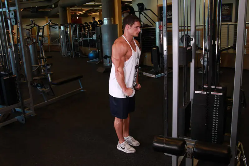 Triceps Pushdown - V-Bar Attachment — finish position