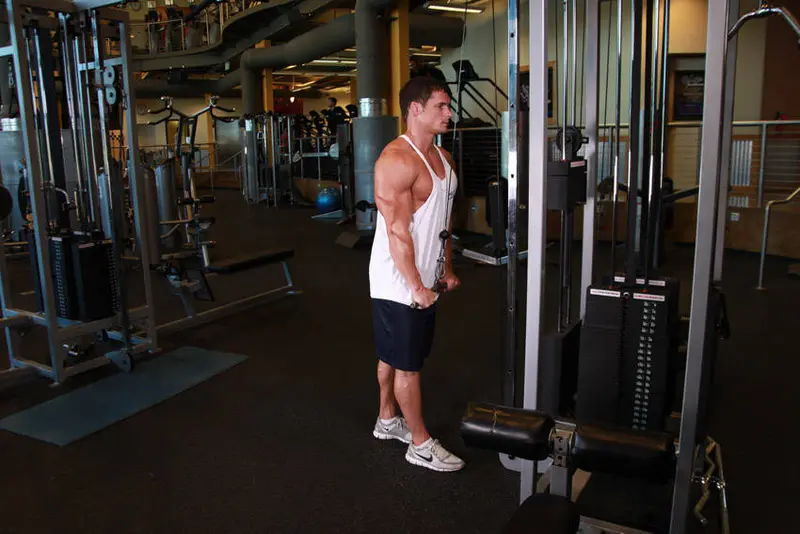 Triceps Pushdown — finish position